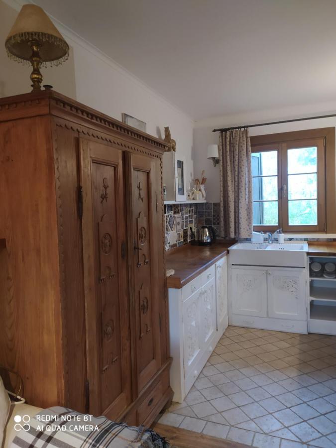 Villa Kamiennikove à Kamienniki Extérieur photo