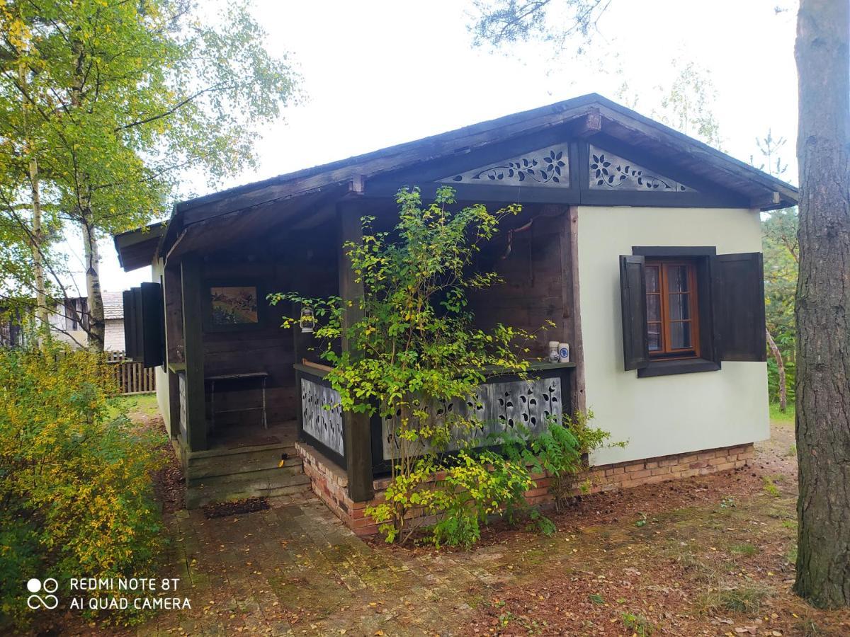 Villa Kamiennikove à Kamienniki Extérieur photo